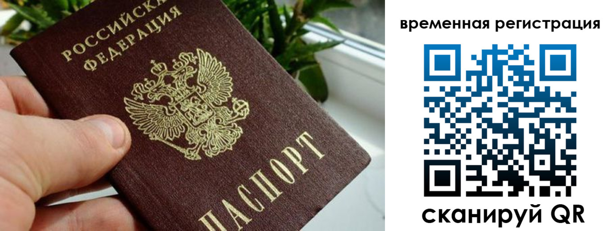 прописка поиск в Мытищах